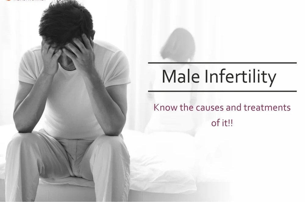 Cervical Mucus Antibodies